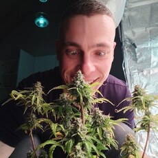 Фотография мужчины Wiktor, 33 года из г. Краков