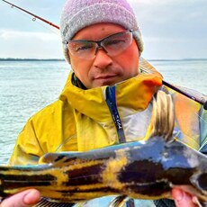 Фотография мужчины Вадим, 45 лет из г. Бугульма