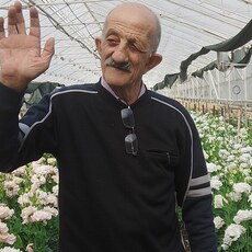 Фотография мужчины Айказ, 66 лет из г. Нефтекамск