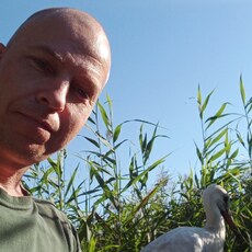 Фотография мужчины Яков, 39 лет из г. Одесса