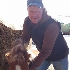 Фотография мужчины Андрей, 40 лет из г. Новосибирск