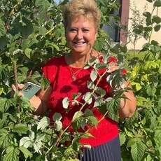 Фотография девушки Светлана, 63 года из г. Клин