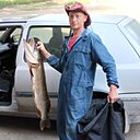 Николай, 36 лет