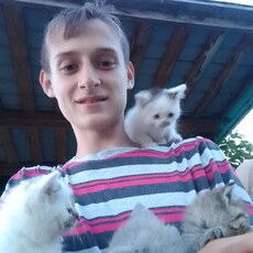 Фотография мужчины Александр, 31 год из г. Архара