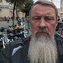 Wasp, 54 года