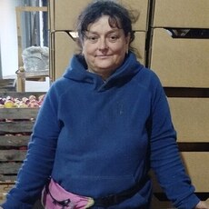 Фотография девушки Людмила, 51 год из г. Острогожск