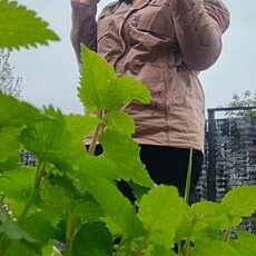 Фотография девушки Туся, 28 лет из г. Псков