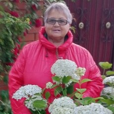Фотография девушки Екатерина, 61 год из г. Бирюч