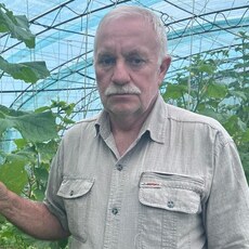 Фотография мужчины Николай, 60 лет из г. Нальчик