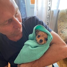 Фотография мужчины Николай, 61 год из г. Минск