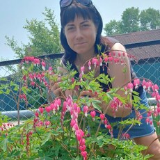 Фотография девушки Oksi, 42 года из г. Амурск