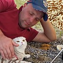 Денис, 35 лет