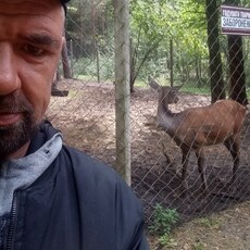 Фотография мужчины Alex, 42 года из г. Ровно