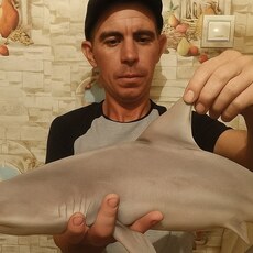 Фотография мужчины Николай, 37 лет из г. Ахтубинск