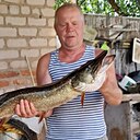 Владимир, 65 лет