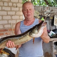 Фотография мужчины Владимир, 65 лет из г. Бузулук