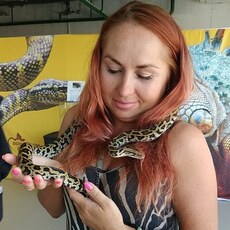 Фотография девушки Светлана, 41 год из г. Владивосток