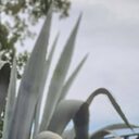 Рафаель, 34 года