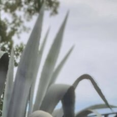 Фотография мужчины Рафаель, 34 года из г. Симферополь