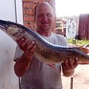 Сергей, 56 лет