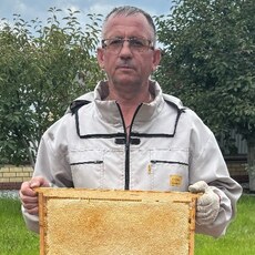 Фотография мужчины Игорь, 54 года из г. Казань