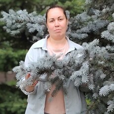 Фотография девушки Елена, 46 лет из г. Кемерово
