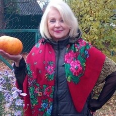 Фотография девушки Елена, 66 лет из г. Тверь