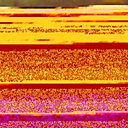 Екатерина, 35 лет