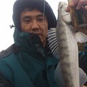 Талант, 37 лет