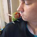 Николай, 38 лет