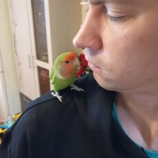 Фотография мужчины Николай, 38 лет из г. Набережные Челны