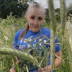 Фотография девушки Марина, 67 лет из г. Верещагино