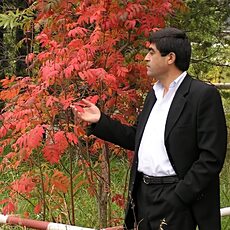 Фотография мужчины Шер, 58 лет из г. Сургут