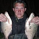 Толян, 36 лет