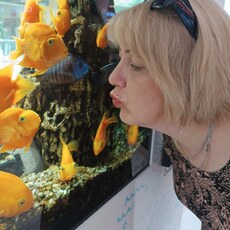 Фотография девушки Ирина, 53 года из г. Венев