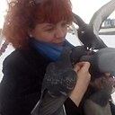 Ксюша, 47 лет