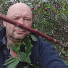 Фотография мужчины Лев, 52 года из г. Сегежа