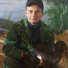Фотография мужчины Андрей, 45 лет из г. Барнаул