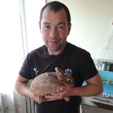 Фотография мужчины Дмитрий, 45 лет из г. Дзержинск