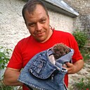 Роман, 50 лет