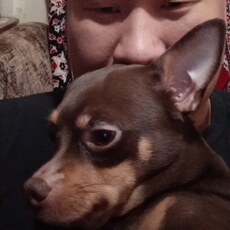 Фотография мужчины Вячеслав, 39 лет из г. Бишкек