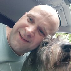 Фотография мужчины Alex, 42 года из г. Оснабрюк