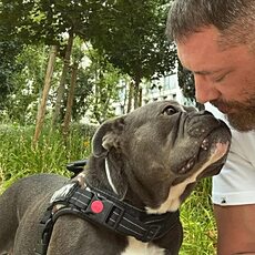 Фотография мужчины Павел, 36 лет из г. Абакан