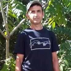 Фотография мужчины Павел, 50 лет из г. Вельск