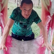 Фотография мужчины Владимир, 52 года из г. Ростов-на-Дону