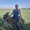 Александр, 45 лет