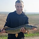 Геныч, 37 лет