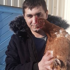 Фотография мужчины Роман, 31 год из г. Нижнекамск