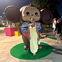 Светлана, 46 лет