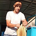 Александр, 45 лет